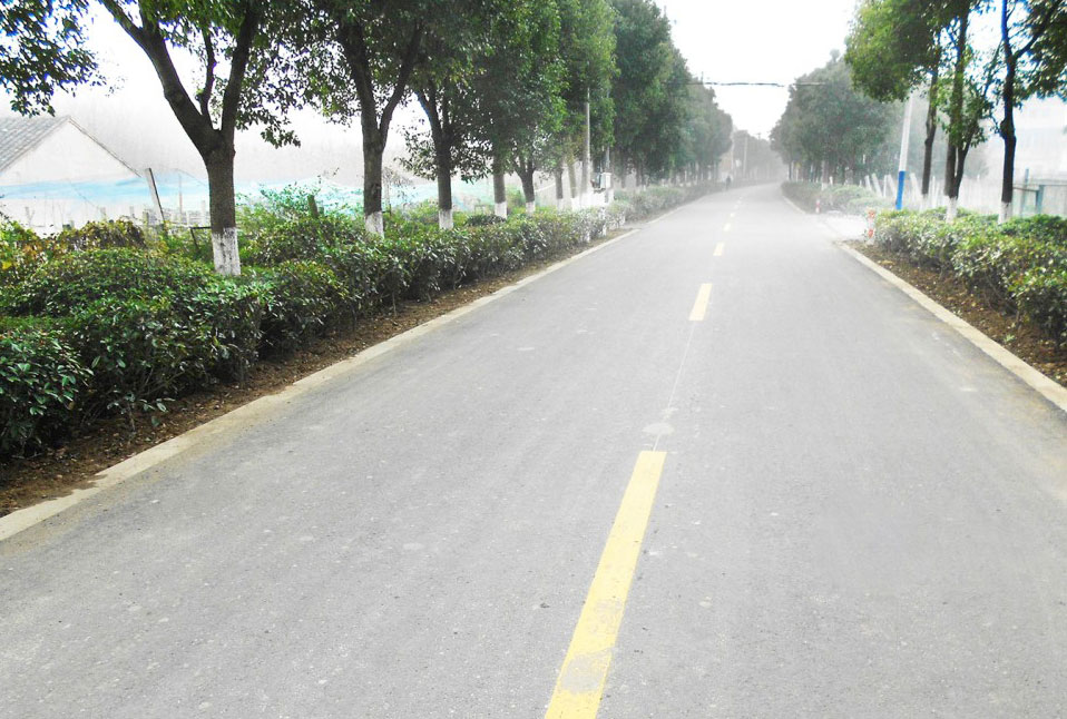 园区路.jpg